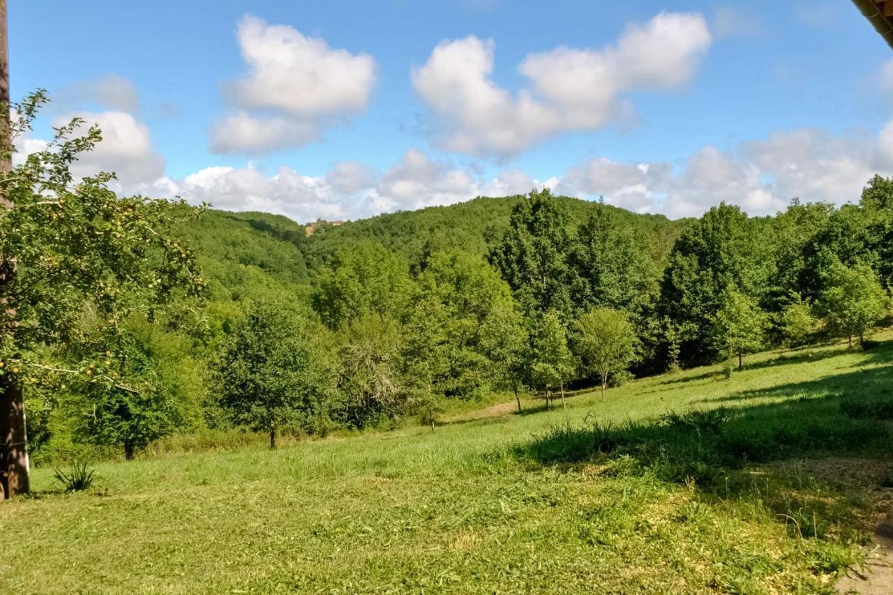 Ancienne Sechoir A Tabac Idealement Place A Limeuil Pour 4 Dans La Nature Eksteriør bilde